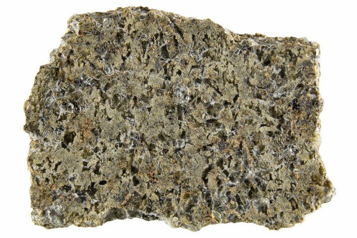 Martian Shergottite Meteorite ( g) Slice - NWA #335334